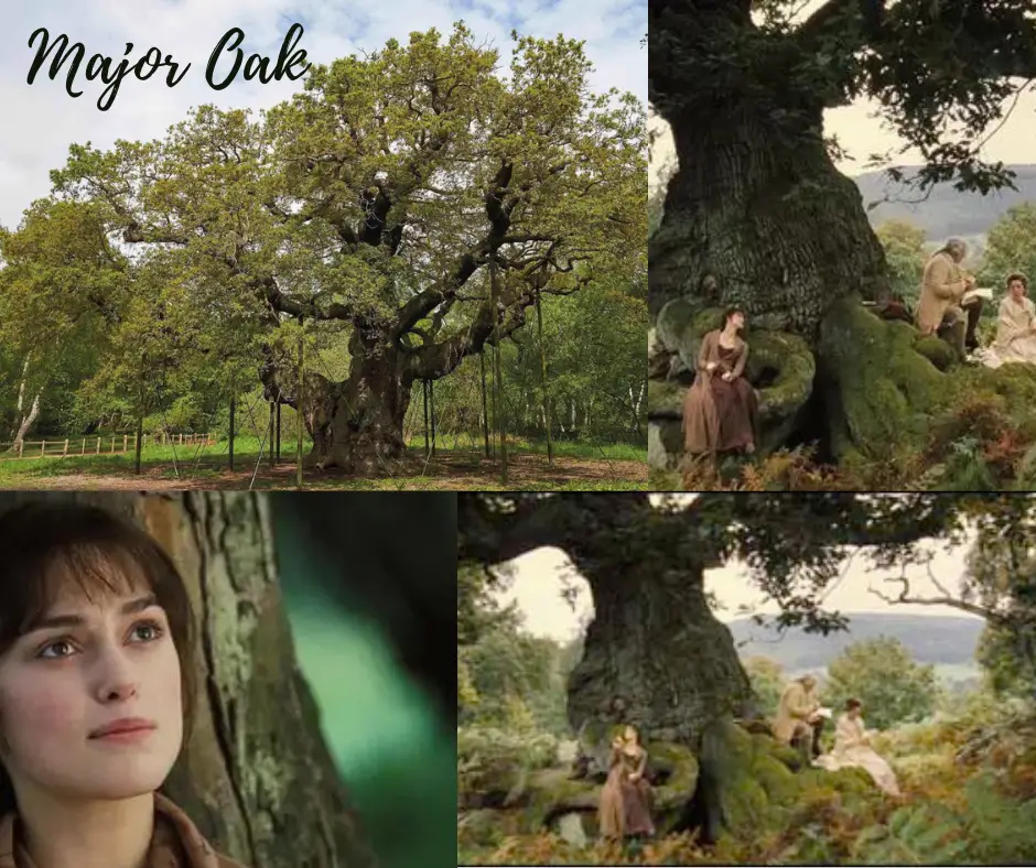 9 Lugares Incríveis para Visitar Inspirados no Filme "Orgulho e Preconceito" 11 Orgulho e Preconceito - Major Oak